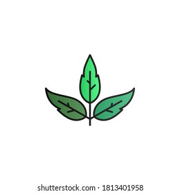 Leaf color gradient vector icon