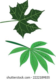 Leaf color and vector foliage