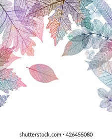 Leaf colorful autumn background. Vector, EPS10.