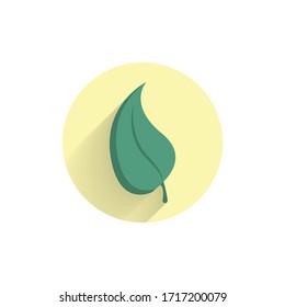 leaf colorful flat icon with shadow. tree leaf flat icon