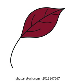 Leaf colorful icon. Vector leaves logo. Red autumn leaf. Autumn leaves for your projects, illustrations, websites. 