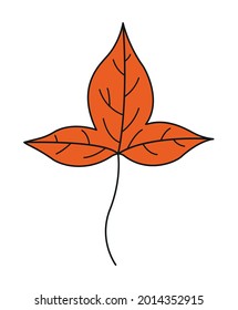 Leaf colorful icon. Vector leaves logo. Orange autumn leaf. Autumn leaves for your projects, illustrations, websites. 
