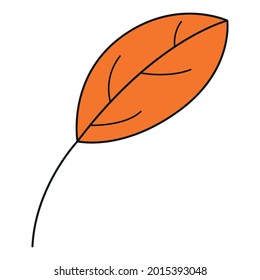 Leaf colorful icon. Vector leaves logo. Orange autumn leaf. Autumn leaves for your projects, illustrations, websites. 