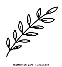 Leaf for coloring. One line isolated on white background, hand drawing, doodle. Herbs, botanical elements. Used for greeting cards and invitations.