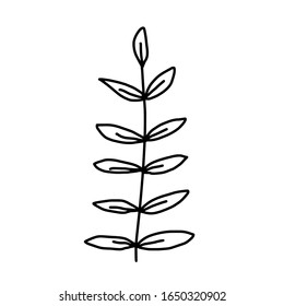 Leaf for coloring. One line isolated on white background, hand drawing, doodle. Herbs, botanical elements. Used for greeting cards and invitations.