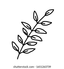 Leaf for coloring. One line isolated on white background, hand drawing, doodle. Herbs, botanical elements. Used for greeting cards and invitations.