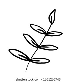 Leaf for coloring. One line isolated on white background, hand drawing, doodle. Herbs, botanical elements. Used for greeting cards and invitations.