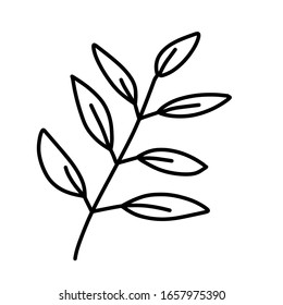 Leaf for coloring. One line isolated on white background, hand drawing, doodle. Herbs, botanical elements. Used for greeting cards and invitations.