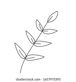 Hoja para colorear. Una línea aislada sobre fondo blanco, dibujo a mano, doodle. Hierbas, elementos botánicos. Se utiliza para tarjetas de felicitación e invitaciones.