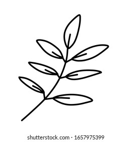 Leaf for coloring. One line isolated on white background, hand drawing, doodle. Herbs, botanical elements. Used for greeting cards and invitations.