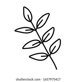 Blätter zum Färben. Eine Linie einzeln auf weißem Hintergrund, handgezeichnet, Doodle. Kräuter, botanische Elemente. Wird für Grußkarten und Einladungen verwendet.