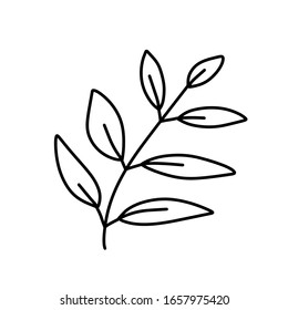 Leaf for coloring. One line isolated on white background, hand drawing, doodle. Herbs, botanical elements. Used for greeting cards and invitations.