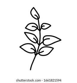 Leaf for coloring. One line isolated on white background, hand drawing, doodle. Herbs, botanical elements. Used for greeting cards and invitations.