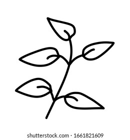 Leaf for coloring. One line isolated on white background, hand drawing, doodle. Herbs, botanical elements. Used for greeting cards and invitations.