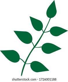 Hoja para colorear. Una línea aislada sobre fondo blanco, dibujo a mano, garabato. Hierbas, elementos botánicos. Se utiliza para tarjetas de felicitación e invitaciones.