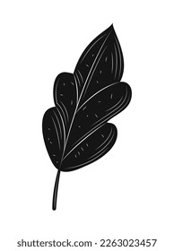 leaf colorless icon isolated design