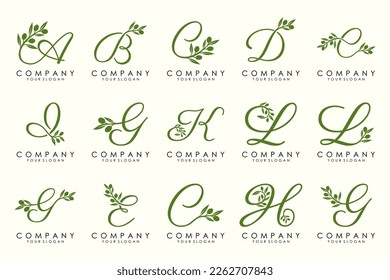 leaf combined with letter logo design and icon set