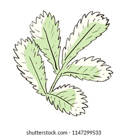 A leaf of complex dentate form in pastel colors. Vector retro design element.