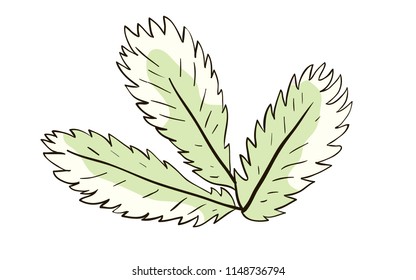 A leaf of complex dentate form in pastel colors. Vector retro design element.