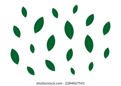 Leaf Concept Background Design Illustration