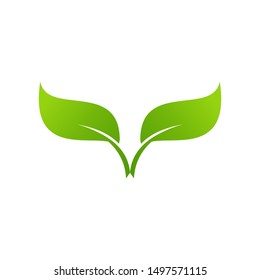 Leaf Concept Logo Design Template - vector