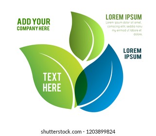 Leaf concept on a white background, Vector illustration