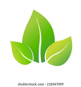 Leaf concept on a white background.