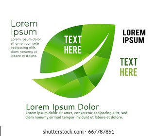 Leaf concept on a white background, Vector illustration