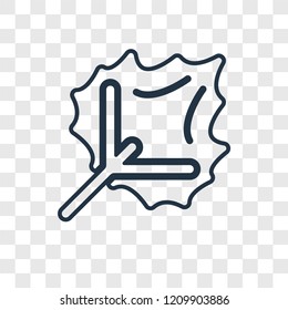 Leaf concept vector linear icon isolated on transparent background, Leaf concept transparency concept in outline style