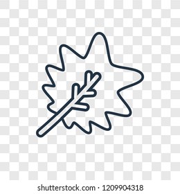 Leaf concept vector linear icon isolated on transparent background, Leaf concept transparency concept in outline style