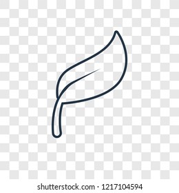 Leaf concept vector linear icon isolated on transparent background, Leaf concept transparency concept in outline style