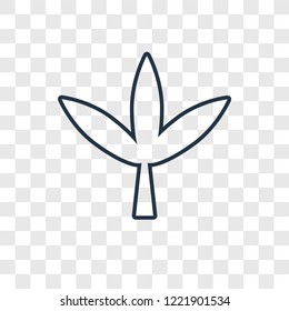 Leaf concept vector linear icon isolated on transparent background, Leaf concept transparency concept in outline style