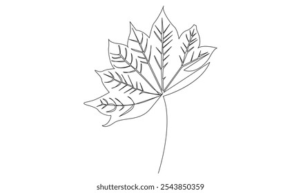 Leaf continuous one line vector drawing on white background design minimalist pro