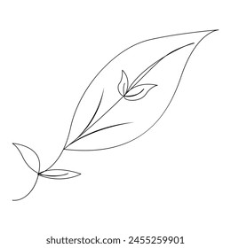 Leaf Continuous single one line drawing illustration art vector design