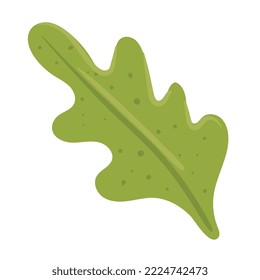 leaf coriander vegetable healthy icon