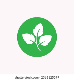 leaf creations, leaf logos, leaf illustrations