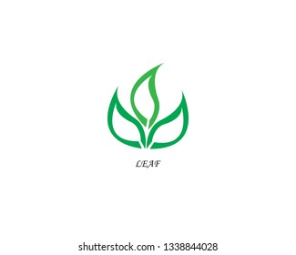 Leaf Creative Concept Logo Design Template - Vector
