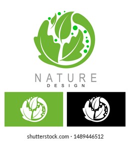 Leaf Creative Concept Logo Design Template, salad icon, Leaf logo with circle design