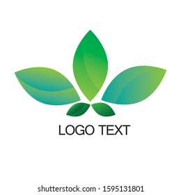 Leaf Creative Concept Logo Design Template