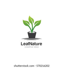 Leaf Creative Concept Logo Design Template