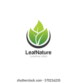 Leaf Creative Concept Logo Design Template