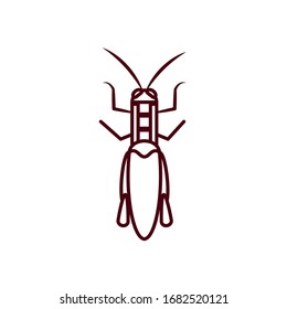 leaf cricket insect icon over white background, line style, vector illustration