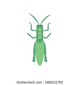 leaf cricket insect icon over white background, flat style, vector illustration