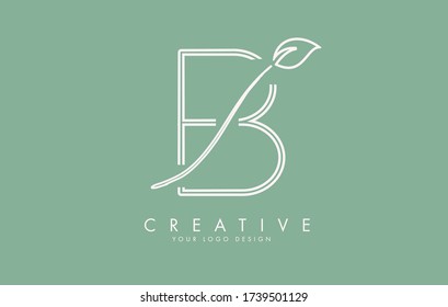 Leaf Cut B Letter and green background for business. Eco Letter Vector Illustration.