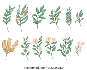 Leaf cute vector illustration on white background
