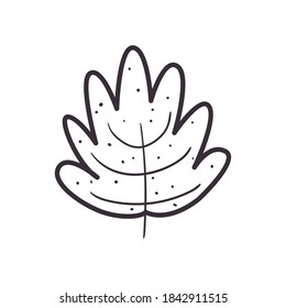 leaf daily sticker line style icon design of Natural floral nature and plant theme Vector illustration