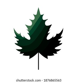 leaf with dark green color vector illustration design