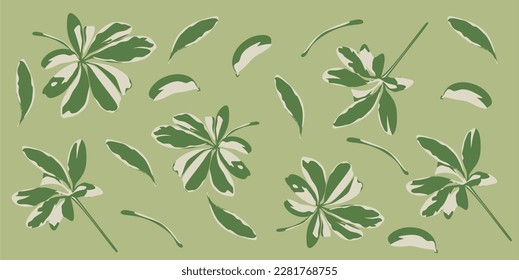 Leaf decoration vector background  aesthetic leaf element background template  Editable leaf element