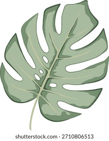 "Folha de Monstera com fendas naturais mais profundas, verde-sábio silenciado, lavagem de aquarela leve, humor botânico calmo."