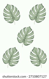 "Monstera Blatt mit tieferen natürlichen Splits, gedämpfte Salbei grün, helle Aquarell waschen, ruhige botanische Stimmung."